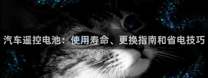 优发国际手机版唯一官网是什么