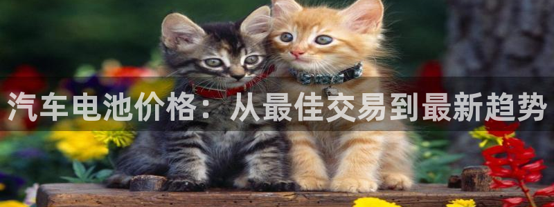 优发国际官网,首页
