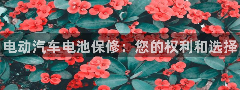 优发国际官方网平台是正品吗