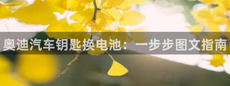 优发国际首页官网