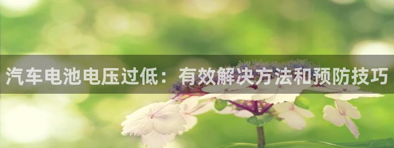 优发国际合并到哪里了啊