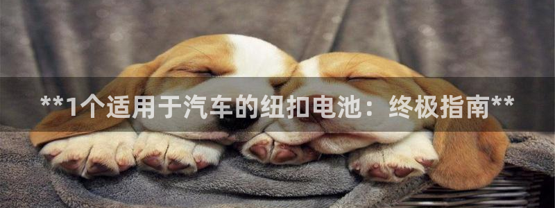 优发国际网站178