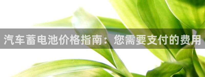 优发国际是什么