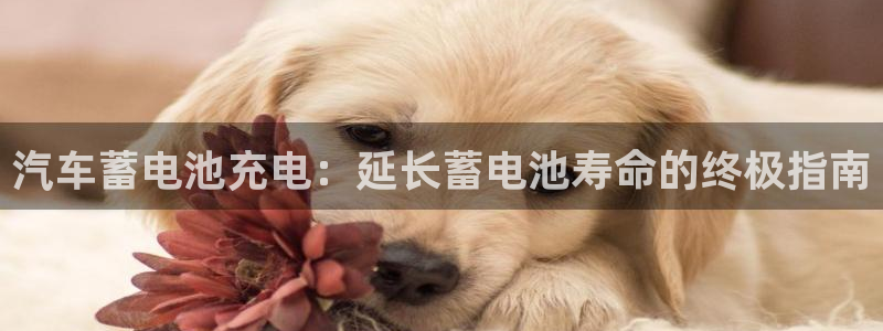 优发国际官网手机版