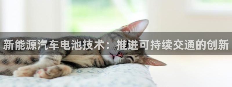 优发国际官网手机版下载安卓