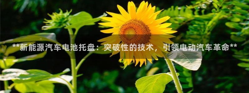 优发国际登录r8