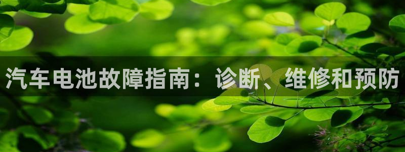 优发国际平台APP