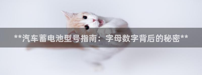 优发国际平台u8怎么样