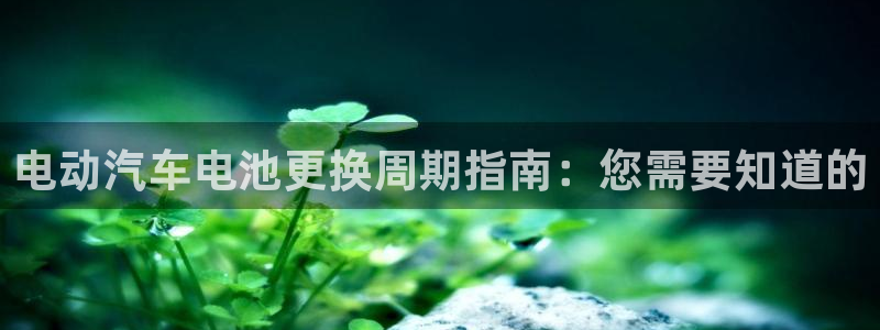 优发国际下载app