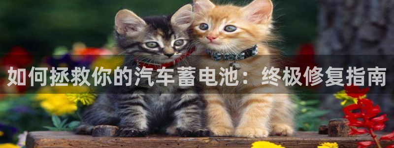优发国际手机版唯一官网下载