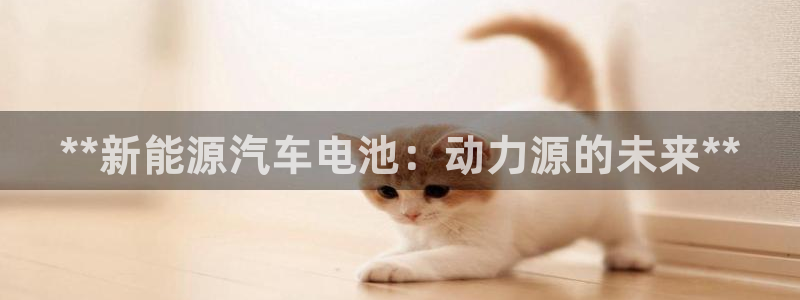优发国际游戏17