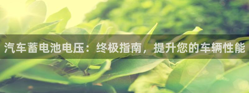 优发国际官网下载安装app