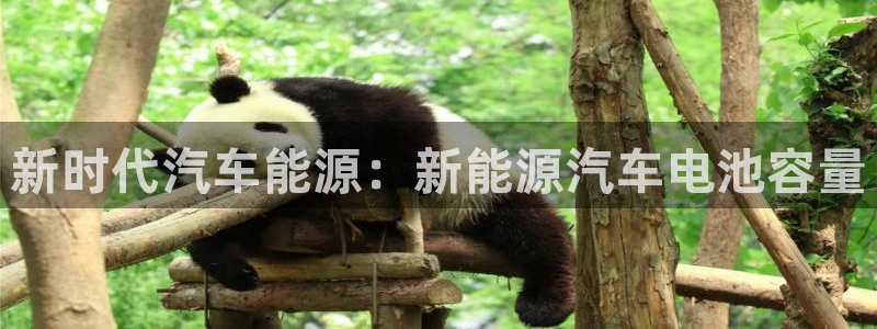 优发国际youfa966