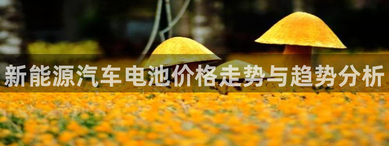 优发国际app登录密码