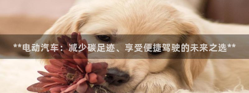 优发国际客服联系方式