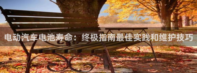 优发国际手机app下载安装