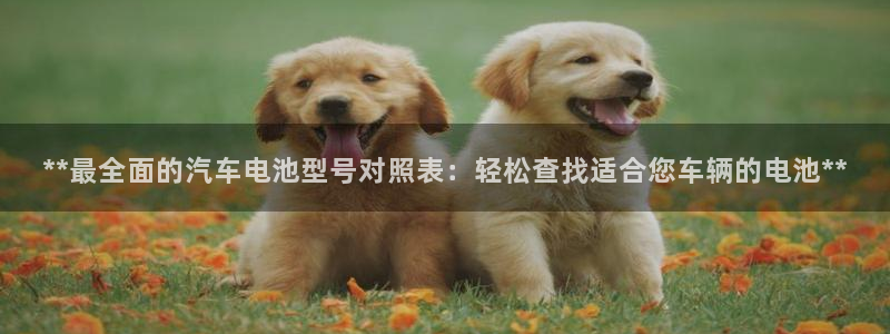 优发国际一首页