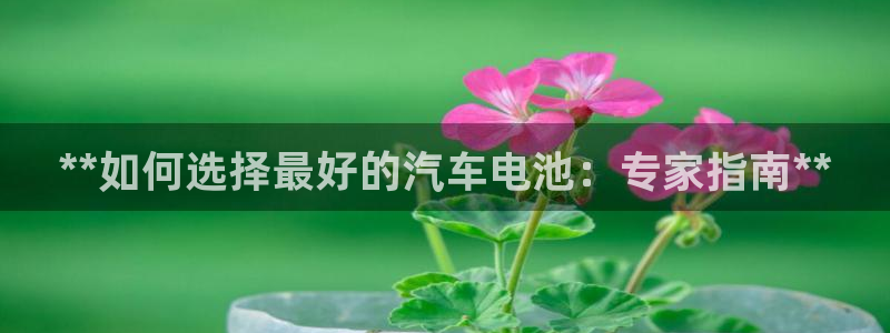 优发国际最新网站下载