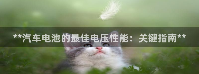 优发国际是大平台吗还是小平