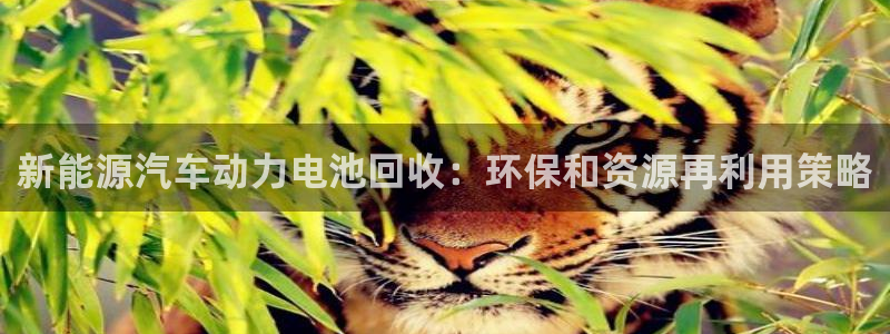 优发国际注册平台怎么样