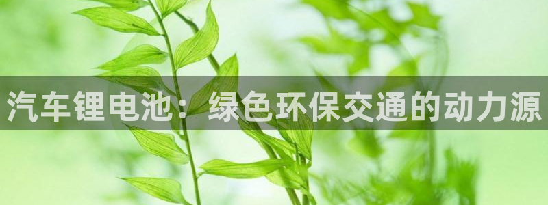 优发国际不出款怎么办