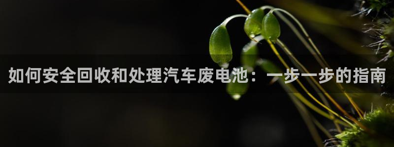 优发国际的官网是什么软件