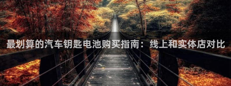 优发国际手机版官网入口