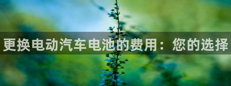 优发国际手机安装登录不了