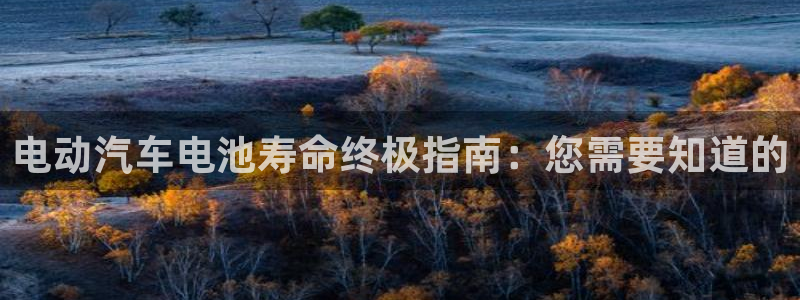 优发国际注册17