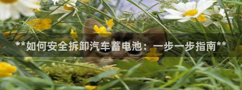优发国际手机登录下载安装官网