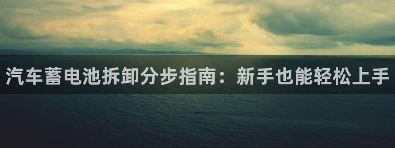 优发国际集团股份有限公司招聘