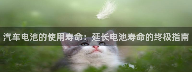 优发国际平台网站