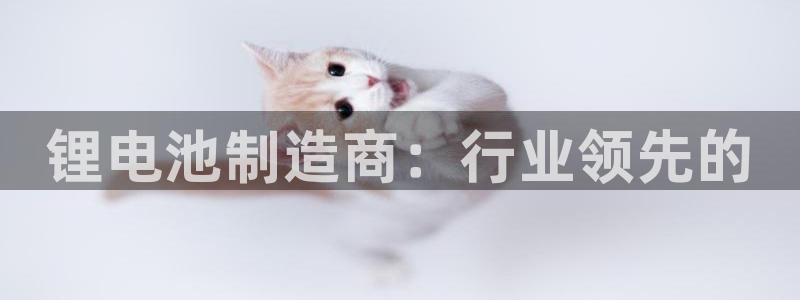 优发国际官方网手机版下载安装