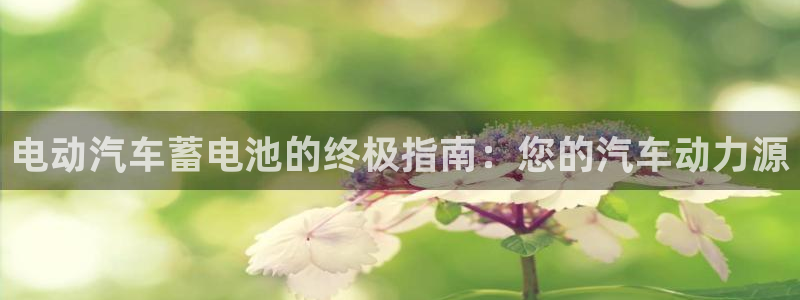 优发国际官方网