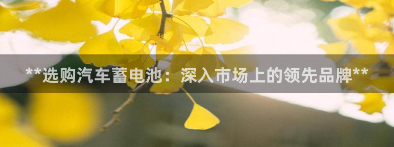 优发国际网站官网