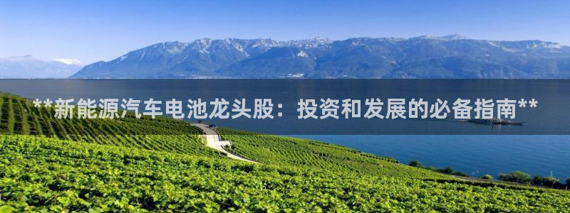 优发国际游戏17