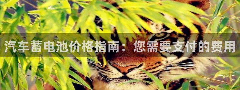 优发国际游戏官方网站