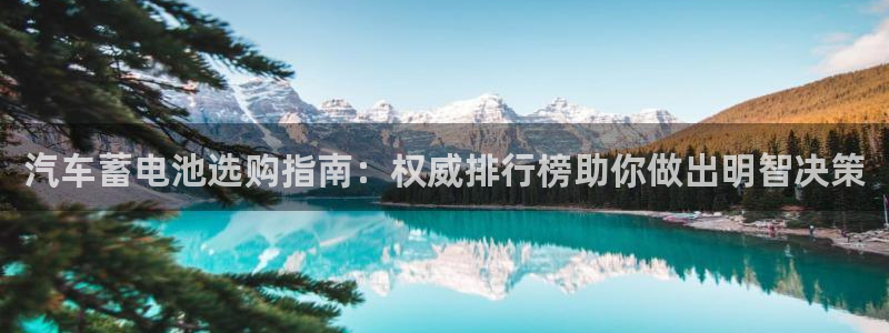 优发国际平台手机版下载安装