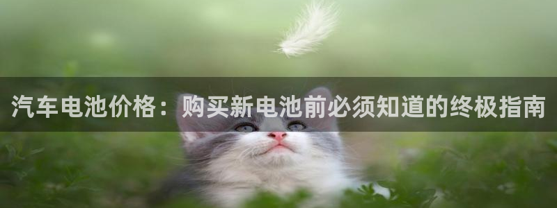 优发国际最新网站下载