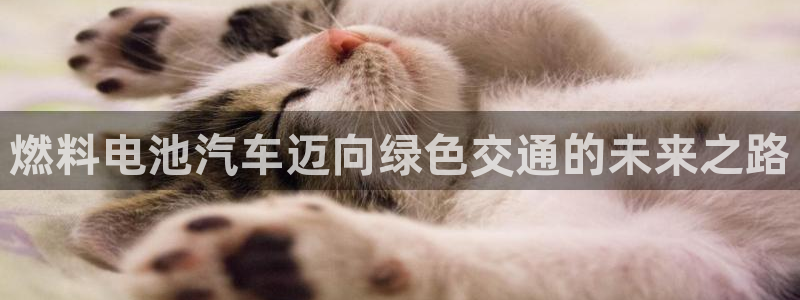 优发国际这个平台怎么样知乎