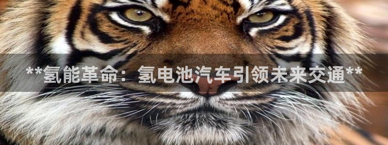 优发国际游戏官方网站