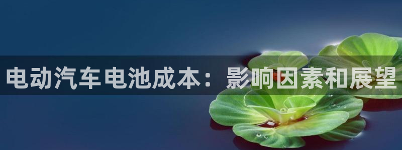 优发国际官网是多少