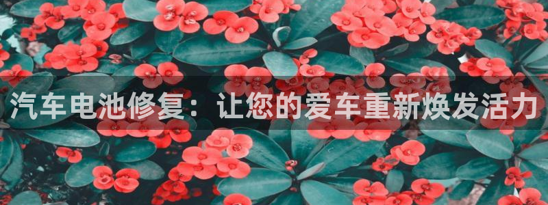 优发国际多少钱