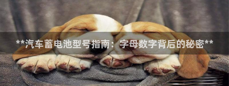 优发娱乐pc版官网
