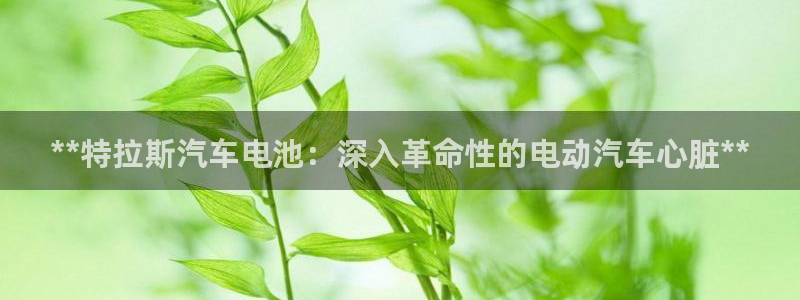 优发国际下载app