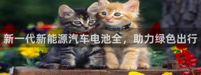 优发国际顶级