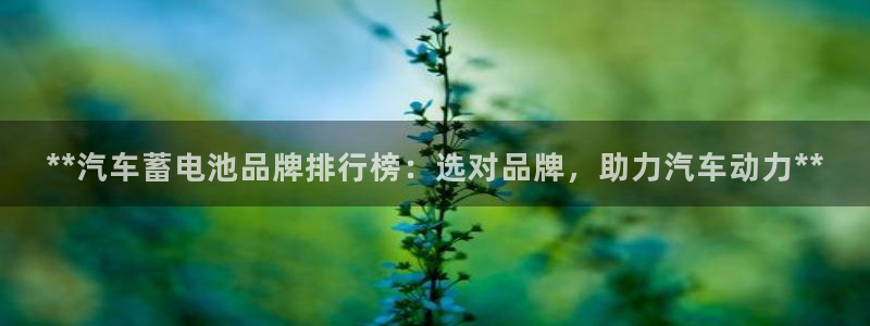 优发娱乐官网地址