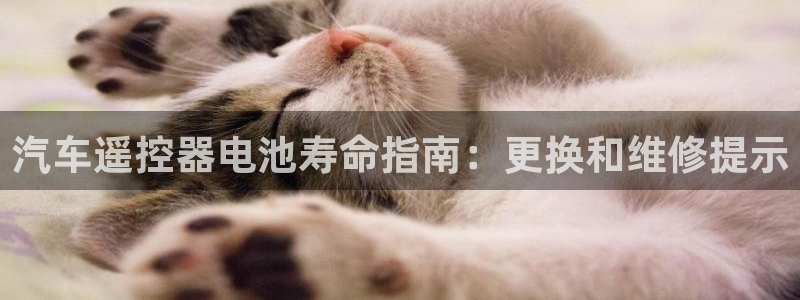 优发国际下载
