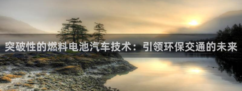 优发国际平台u8是什么软件