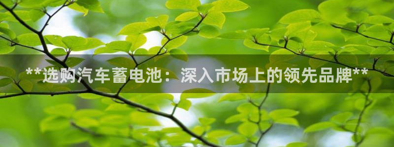 优发国际安卓版下载安装最新版